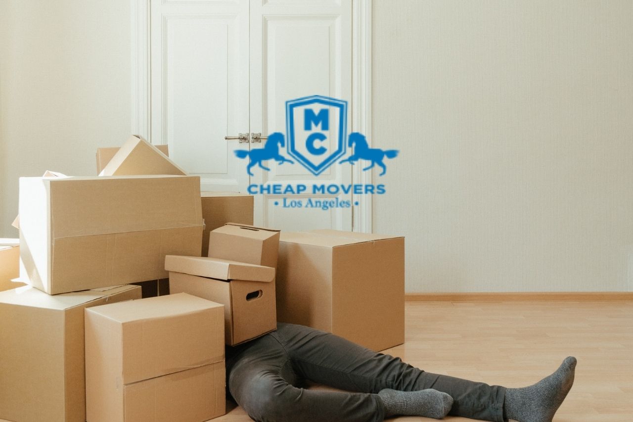  Hate moving house? Hate it less with these 3 tips