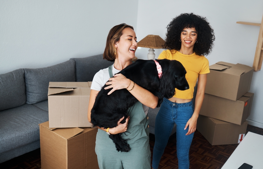  Moving from One Town to Another: Choose the Best Movers